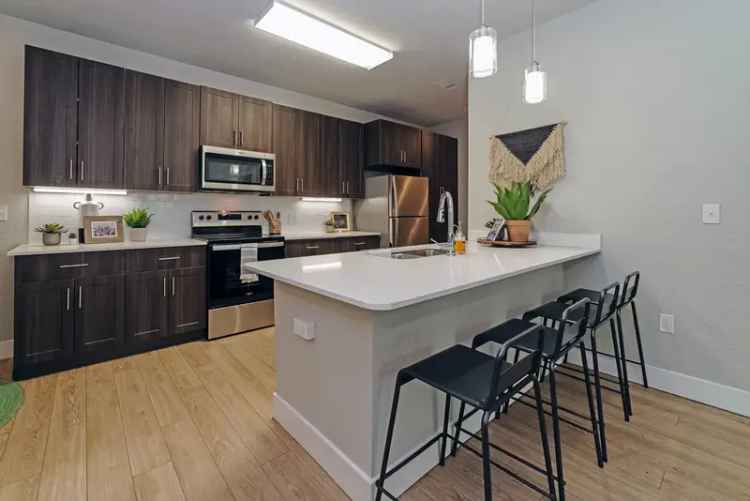 Rent Apartments Near UF with Modern Amenities for Students