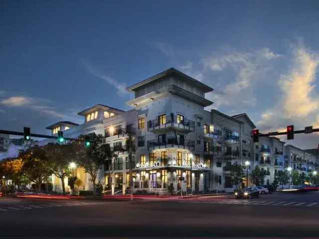 Rent Upscale Apartments in Downtown St Petersburg with Premium Finishes