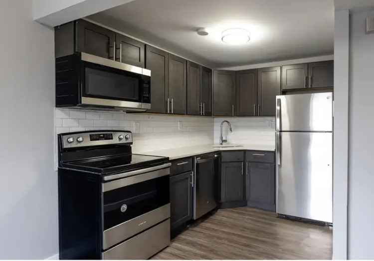 Rent Beautiful Upgraded Apartments in Glenside with Modern Interiors