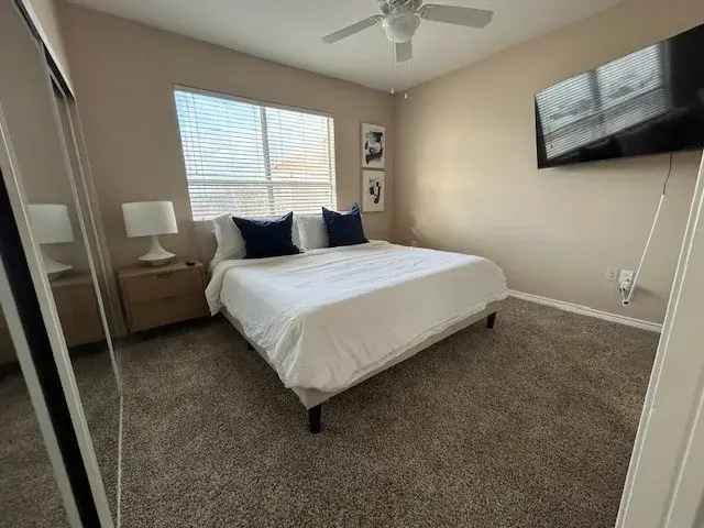 Rent Luxury Apartments in Lake Worth with Pet-Friendly Amenities