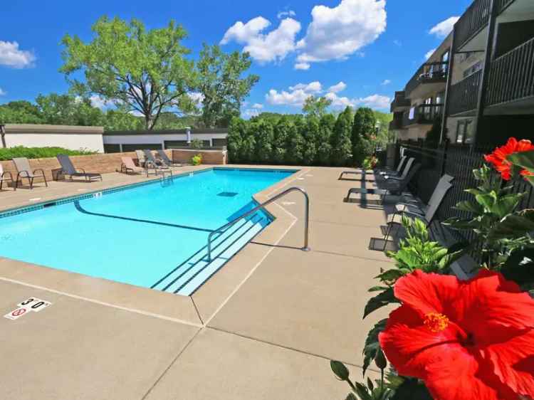 Rent Pet Friendly Apartments with Amenities in Summit and Highland