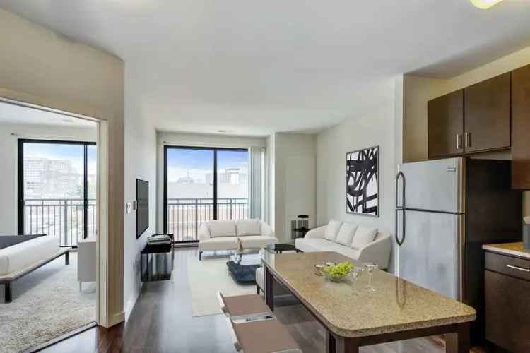 Rent Apartment in Harbor Point with Urban Convenience and Amazing Amenities