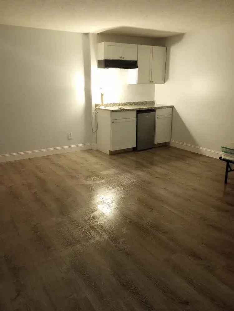 Rent Beautiful Studio Apartment Unit with Utilities Included