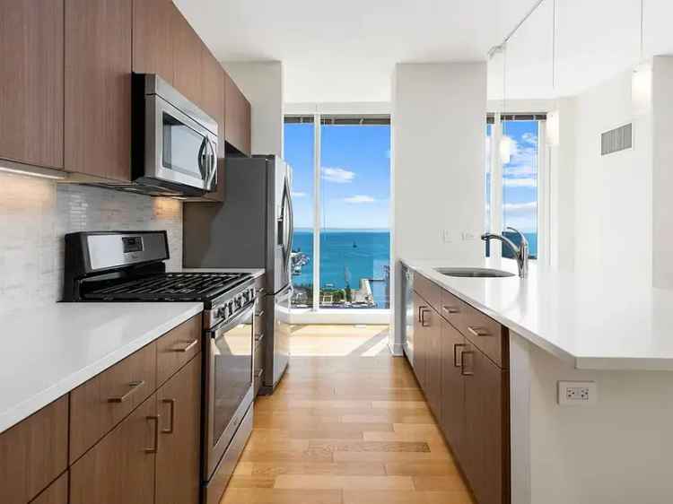 Rent Luxury Apartments in Streeterville Chicago with Stunning Amenities