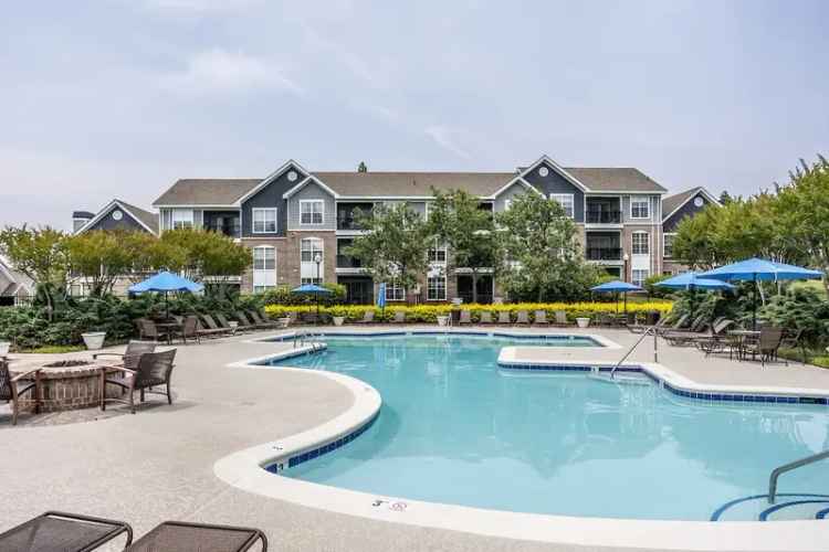 Rent Luxurious Apartments with Amazing Amenities near Brier Creek