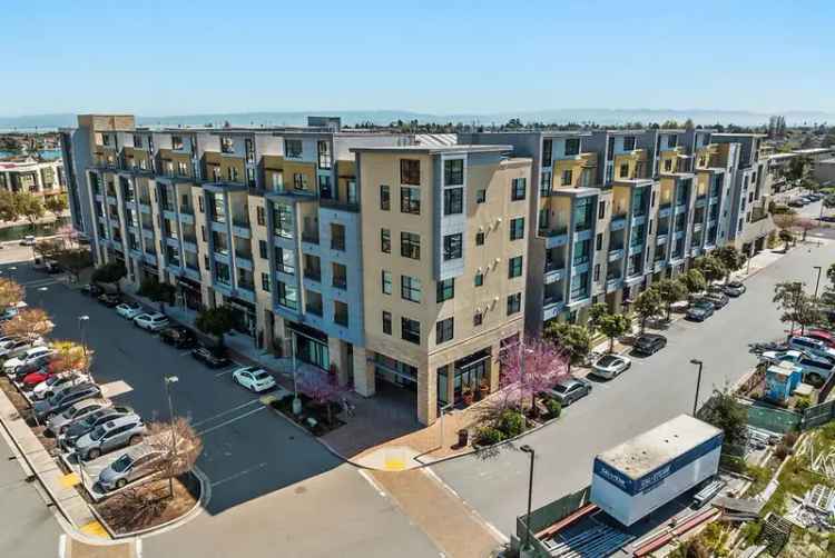 Rent Modern Apartments in Foster City with Luxurious Amenities