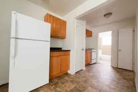 Rent Apartments in Chatham Chicago with Great Amenities