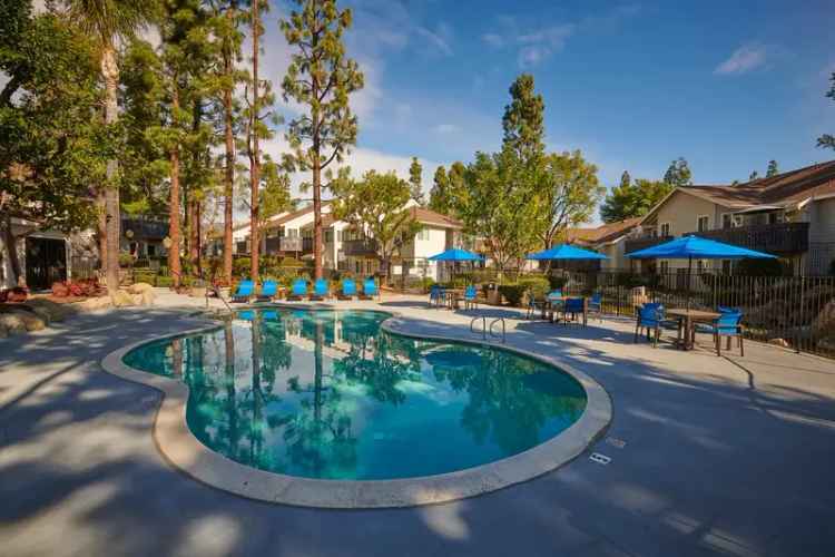 Rent Family-Friendly Apartments in Alta Loma with Great Amenities