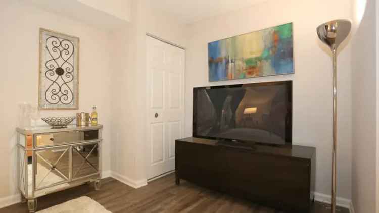 Rent Apartments in Wilmington with Premium Amenities and Outdoor Space