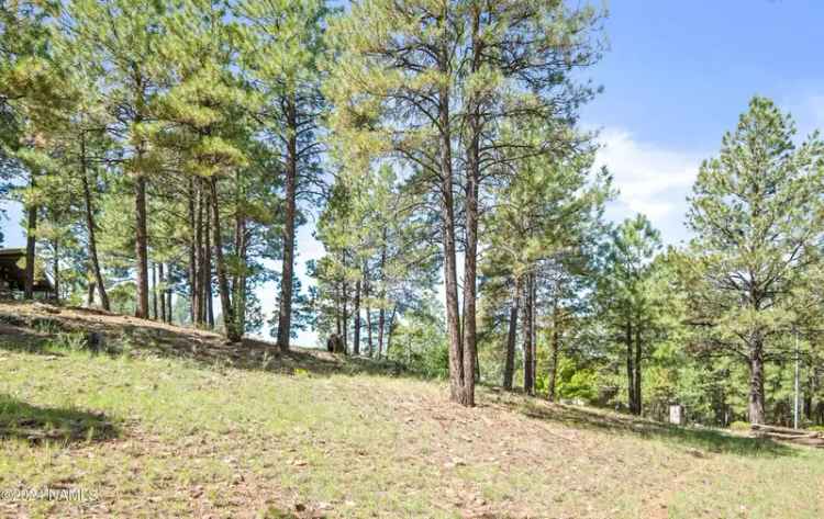 Buy Vacant Lot in Continental Country Club with Peak View Potential