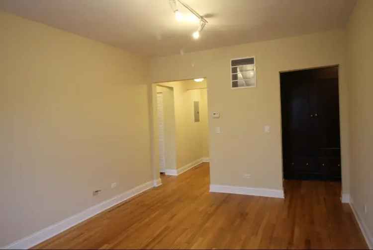 Apartment for Rent in Chicago with Pet Friendly Features and Modern Upgrades