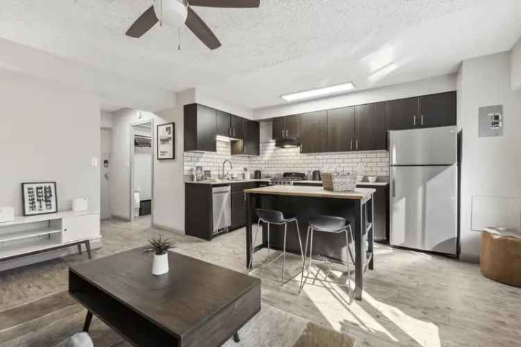 Rent Apartments in Denver with Gourmet Kitchens and Scenic Views