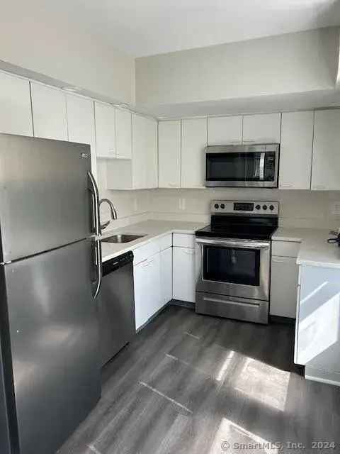 Luxury Rental Townhouse in Downtown with 2 Bedrooms and 1.5 Bathrooms