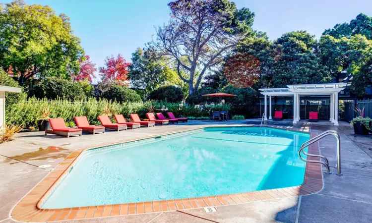 Luxury Apartments for Rent in Palo Alto with Modern Amenities