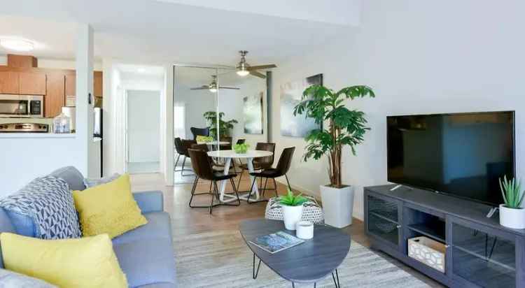 Rent Apartments in Santa Cruz with Modern Amenities and Great Location