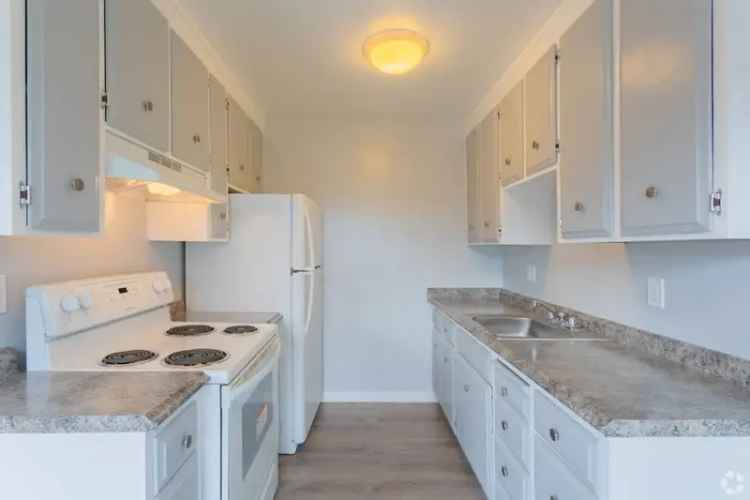 Rent Apartments in San Jose with Luxury Amenities and Modern Living