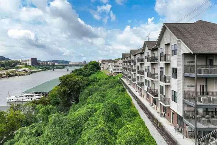 Rent Apartments Located by the Tennessee River with Stunning Features