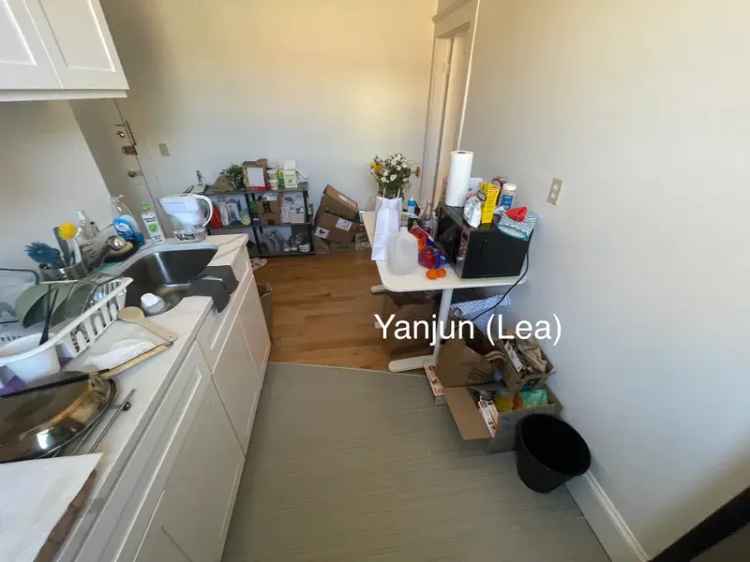 Rent Charming Renovated Apartment Unit Near B Line Allston St Stop