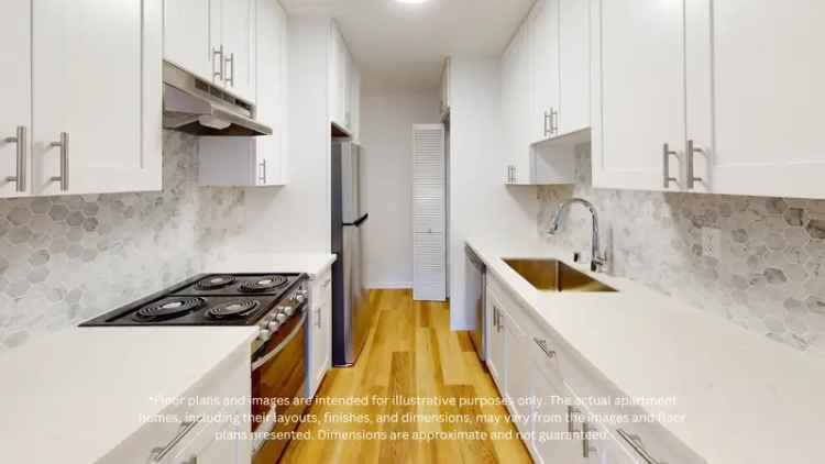 Rent Apartments Near UC Berkeley with Pet-Friendly Features