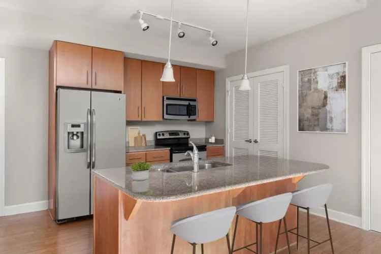 Apartments for Rent in Montford Park with Stylish Features