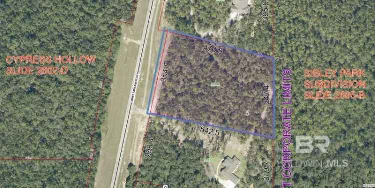 Buy Land in Baldwin County with Beautiful Wilderness Features