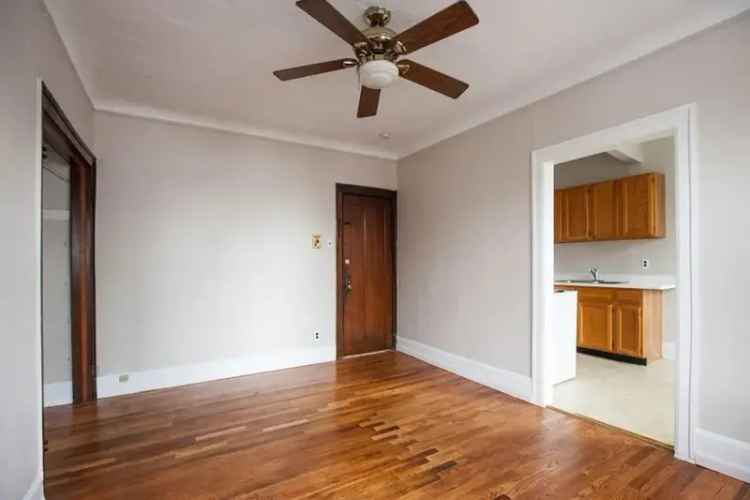 Rent One Bedroom Apartment Unit Near Michigan Avenue with Vintage Features