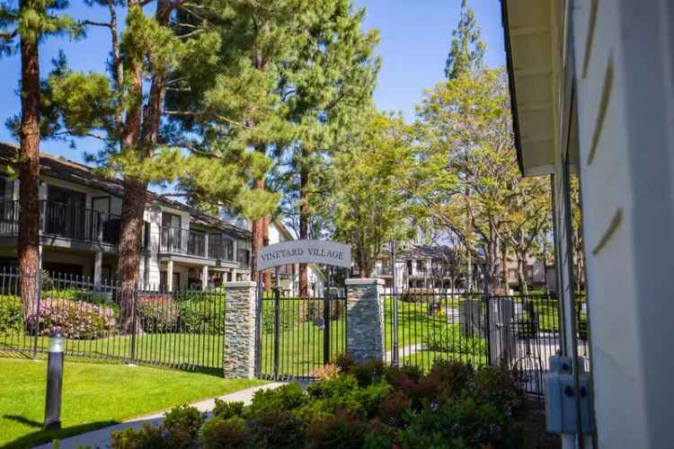 Rent Spacious Apartments in Rancho Cucamonga with Great Amenities