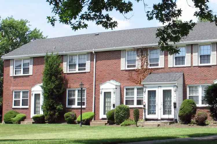 Rent Apartment Units in Kenmore with Spacious Layouts and Hardwood Floors