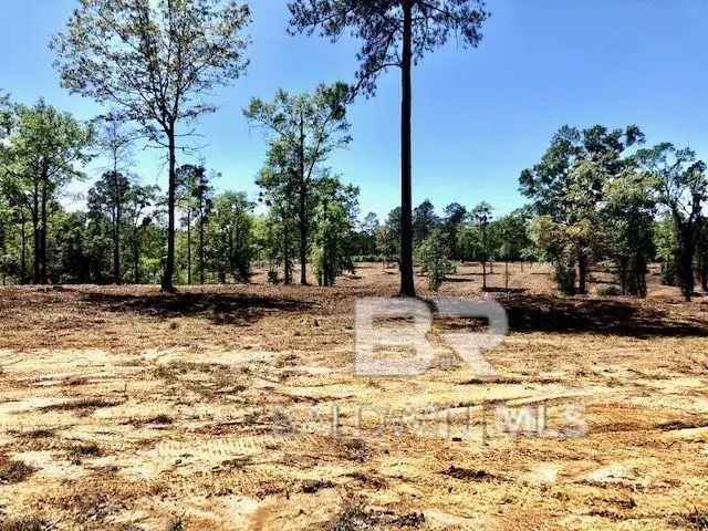 Buy Lot for Sale in Bay Minette with Rolling Hills and Utilities