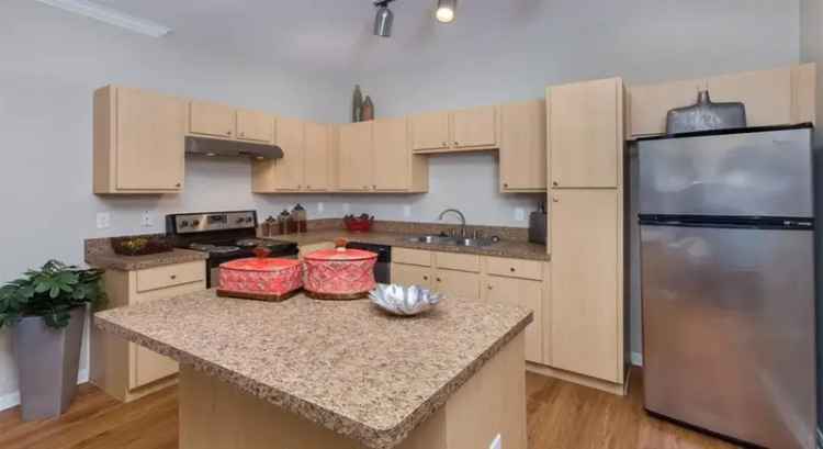 Rent Apartments in Austin with Luxury Amenities and Great Location