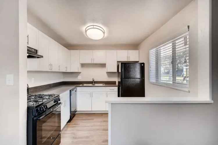 Rent Apartments in Denver with Great Access to Local Amenities