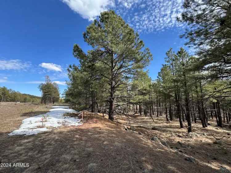 Land For Sale in Flagstaff, Arizona