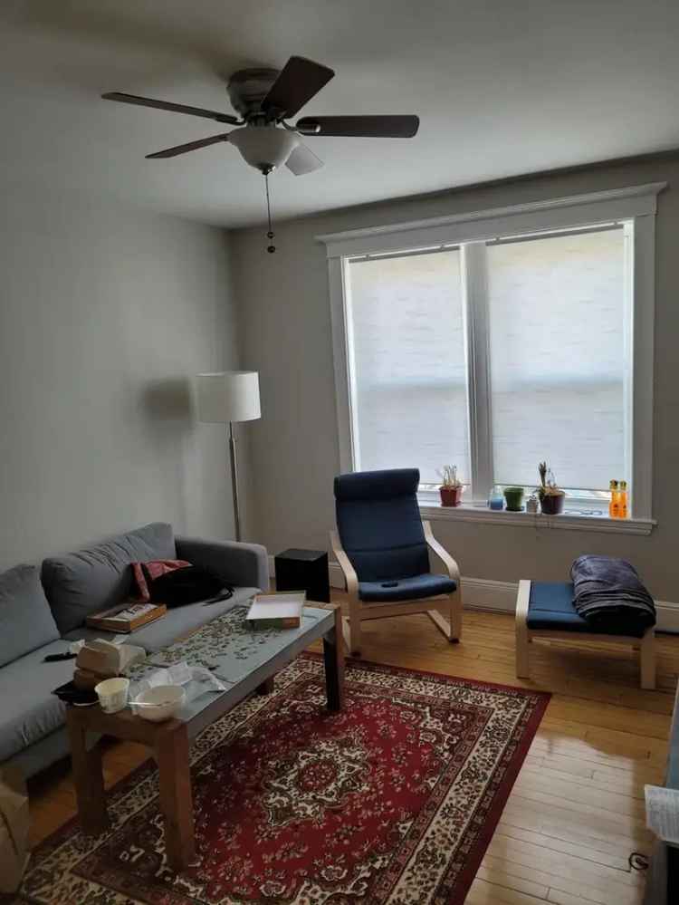 Rent Cozy 1 Bedroom Apartment in Allston with Natural Lighting