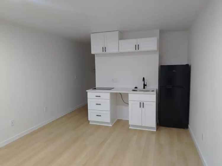 Rent Studio Apartment in Kenmore with Modern Amenities