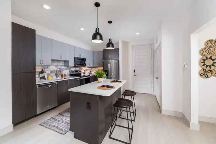 Rent Luxury Apartments in Austin's South Lamar Neighborhood