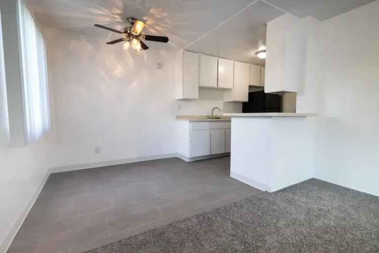 Rent Apartments in Clairemont with Modern Amenities and Pool Access