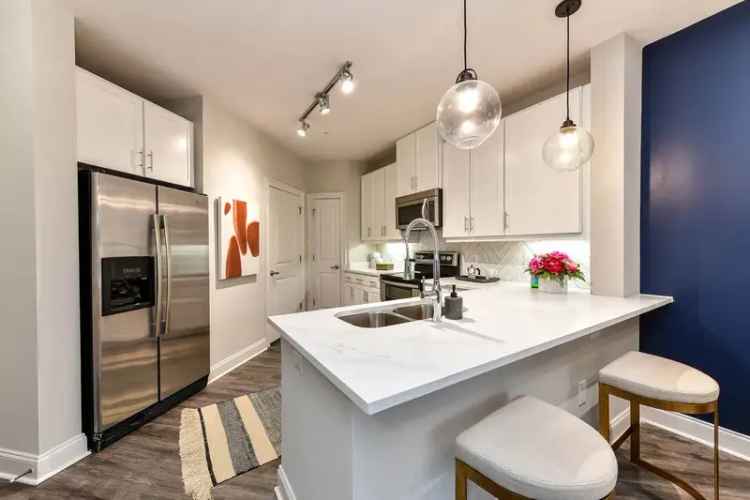 Rent Apartments in Atlanta with Spacious Layouts and Pet Friendly Features